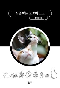 꿈을 여는 고양이 코코 (커버이미지)