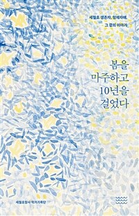 봄을 마주하고 10년을 걸었다 - 세월호 생존자, 형제자매, 그 곁의 이야기 (커버이미지)