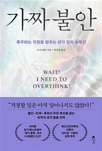 가짜 불안 - 폭주하는 걱정을 멈추는 생각 정리 솔루션 (커버이미지)