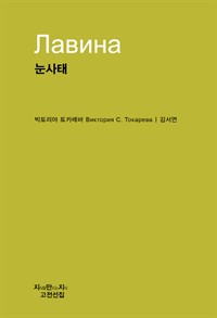 눈사태 - 지식을만드는지식 고전선집 (커버이미지)