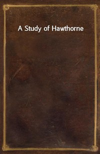 A Study of Hawthorne (커버이미지)