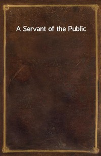 A Servant of the Public (커버이미지)