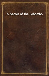 A Secret of the Lebombo (커버이미지)