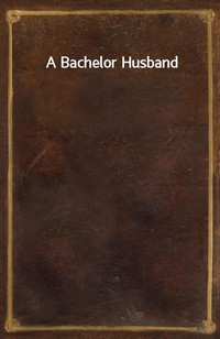 A Bachelor Husband (커버이미지)