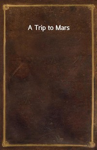 A Trip to Mars (커버이미지)