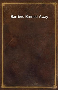 Barriers Burned Away (커버이미지)