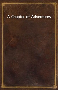 A Chapter of Adventures (커버이미지)
