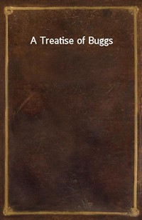 A Treatise of Buggs (커버이미지)