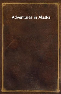 Adventures in Alaska (커버이미지)