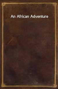 An African Adventure (커버이미지)