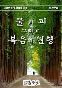 물과 피 그리고 복음의 원형 - 요한서신서 강해설교 2 (커버이미지)