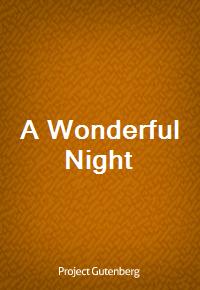 A Wonderful Night (커버이미지)