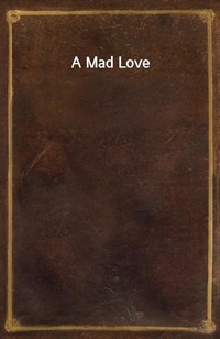 A Mad Love (커버이미지)