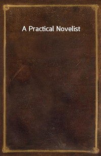 A Practical Novelist (커버이미지)