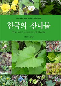 한국의 산나물 : 우리 산과 들에 숨 쉬고 있는 보물 (커버이미지)