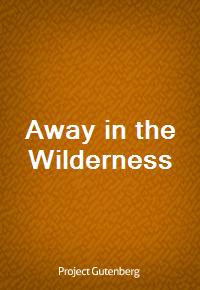 Away in the Wilderness (커버이미지)