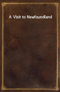 A Visit to Newfoundland (커버이미지)