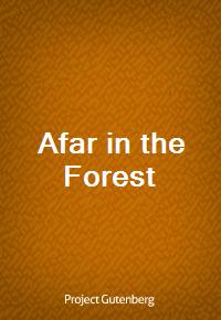 Afar in the Forest (커버이미지)