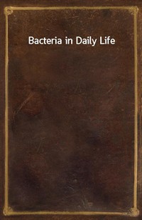 Bacteria in Daily Life (커버이미지)