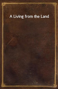 A Living from the Land (커버이미지)