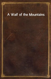 A Waif of the Mountains (커버이미지)