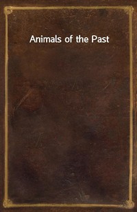 Animals of the Past (커버이미지)