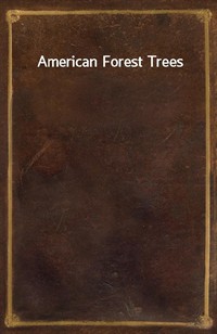 American Forest Trees (커버이미지)