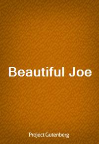 Beautiful Joe (커버이미지)